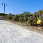 2013_08_19-LAT-BoschettoAncora