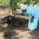 2013_09_20-WT_2013-Uganda-0