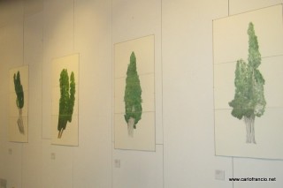 2014_10_11-MontePietà-ALBERI_AMATO