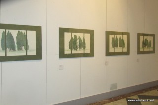 2014_10_11-MontePietà-ALBERI_AMATO